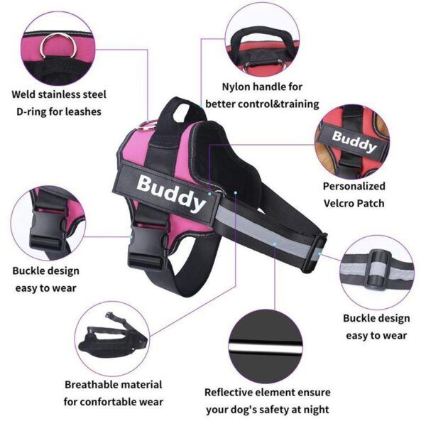 Personalized Dog Harness10.jpg