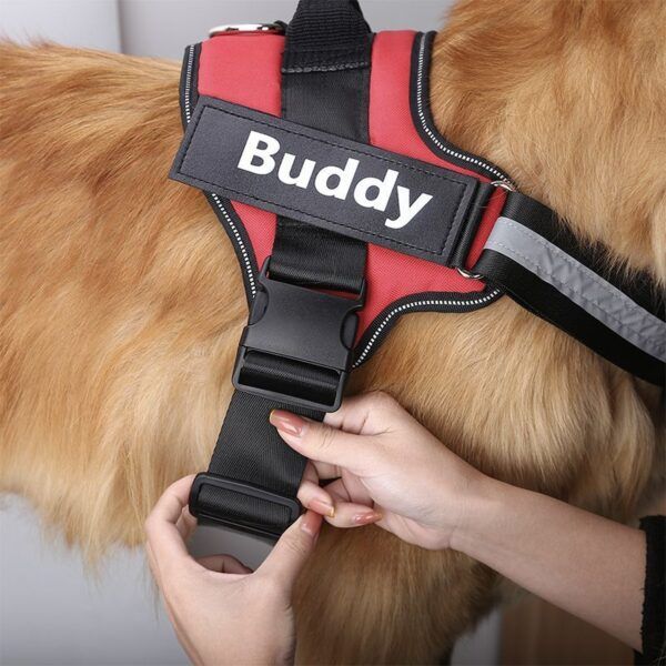 Personalized Dog Harness20.jpg