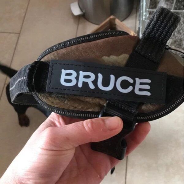 Personalized Dog Harness3.jpg