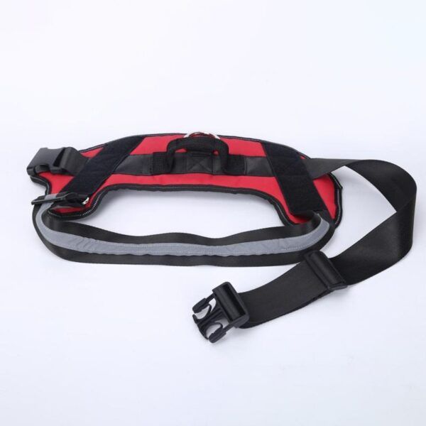 Personalized Dog Harness5.jpg