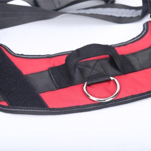 Personalized Dog Harness7.jpg