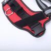 Personalized Dog Harness8.jpg