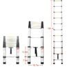 telescopic extension ladder_0019_img_2_12.5ft_330lbs_Capacity_3.8m_One_Button_R.jpg