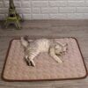 pet cooling pad_0000_Layer 12.jpg