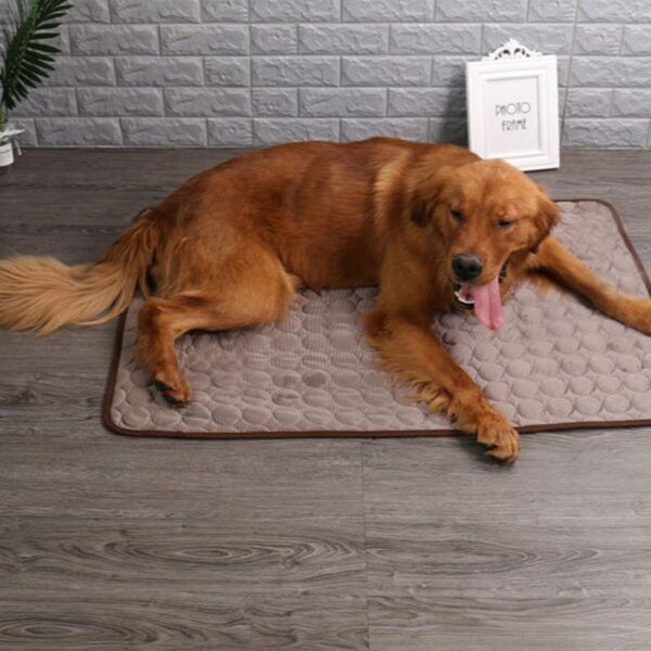 pet cooling pad_0001_Layer 11.jpg