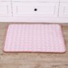 pet cooling pad_0016_img_6_Pet_Dog_Pad_Summer_Cooling_Mat_Breathabl.jpg
