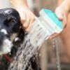 pet shower brush_0010_img_16_56_Pet_Massage_Brush_For_Dogs_And_Cats_.jpg