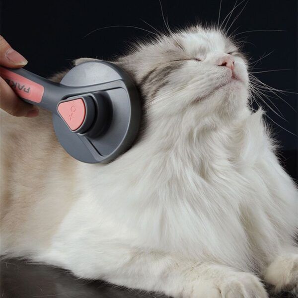 Furry Comb Massager_0011_img_2_Cat_Comb_Dog_Comb_Cat_Hair_Brush_Pet_Dog.jpg