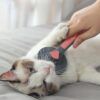 Furry Comb Massager_0012_img_0_Cat_Comb_Dog_Comb_Cat_Hair_Brush_Pet_Dog.jpg