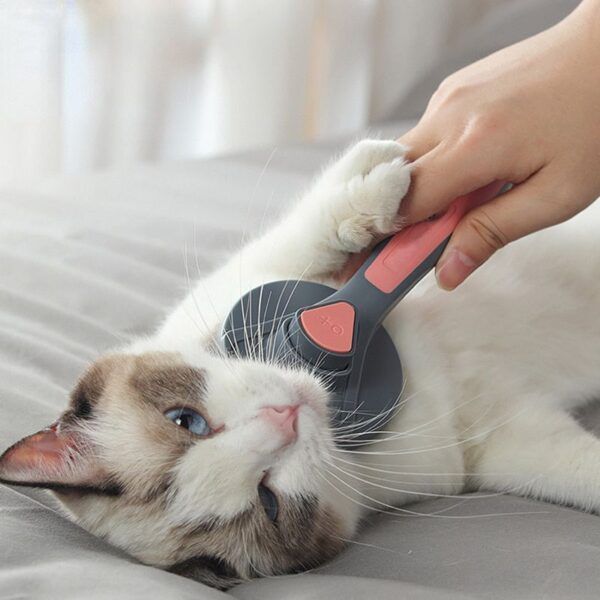 Furry Comb Massager_0012_img_0_Cat_Comb_Dog_Comb_Cat_Hair_Brush_Pet_Dog.jpg