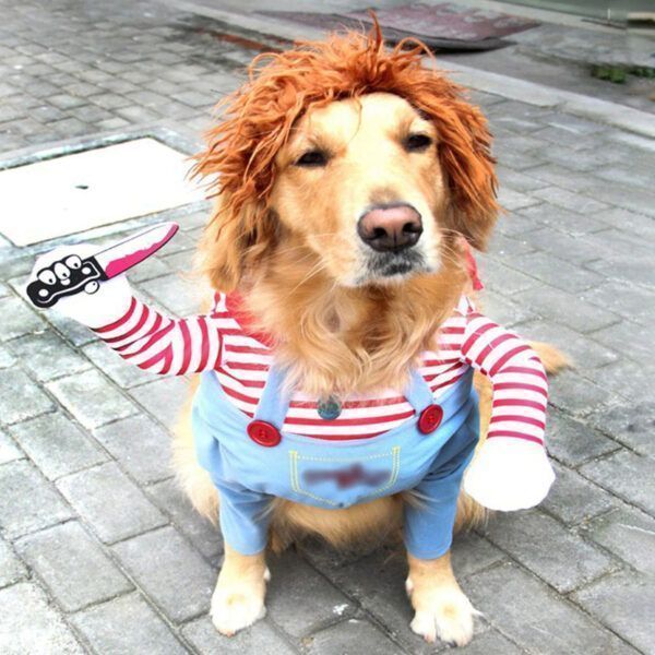 Dog Halloween costume13.jpg