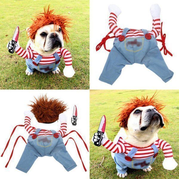 Dog Halloween costume2.jpg